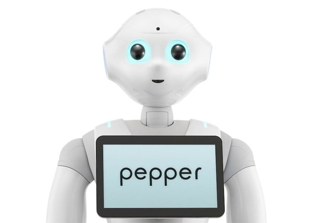 Pepper Rent Hire 3